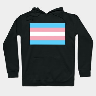 Trans Flag Hoodie